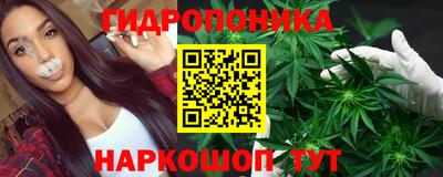 индика Брянск