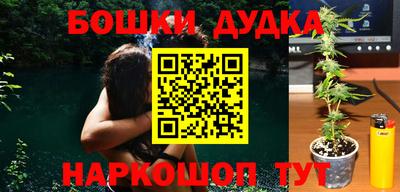 индика Брянск