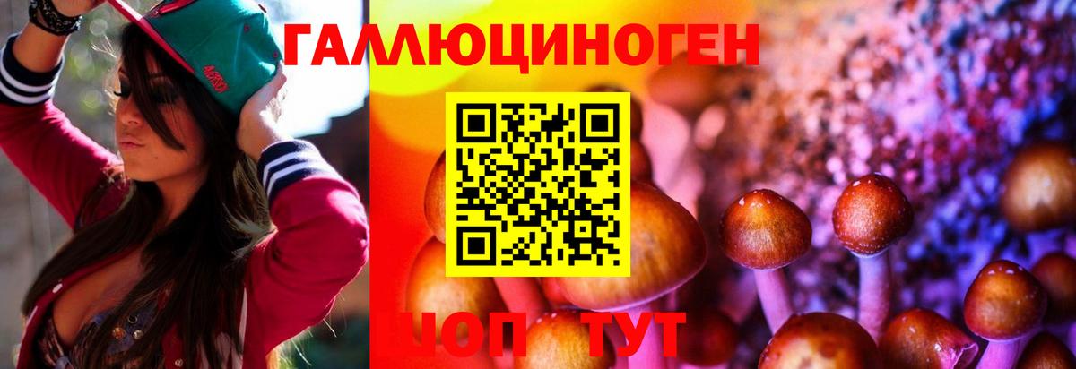 Богородицк  Галлюциногенные грибы MAGIC MUSHROOMS  Псилоцибиновые грибы MAGIC MUSHROOMS  Вход с VPN 